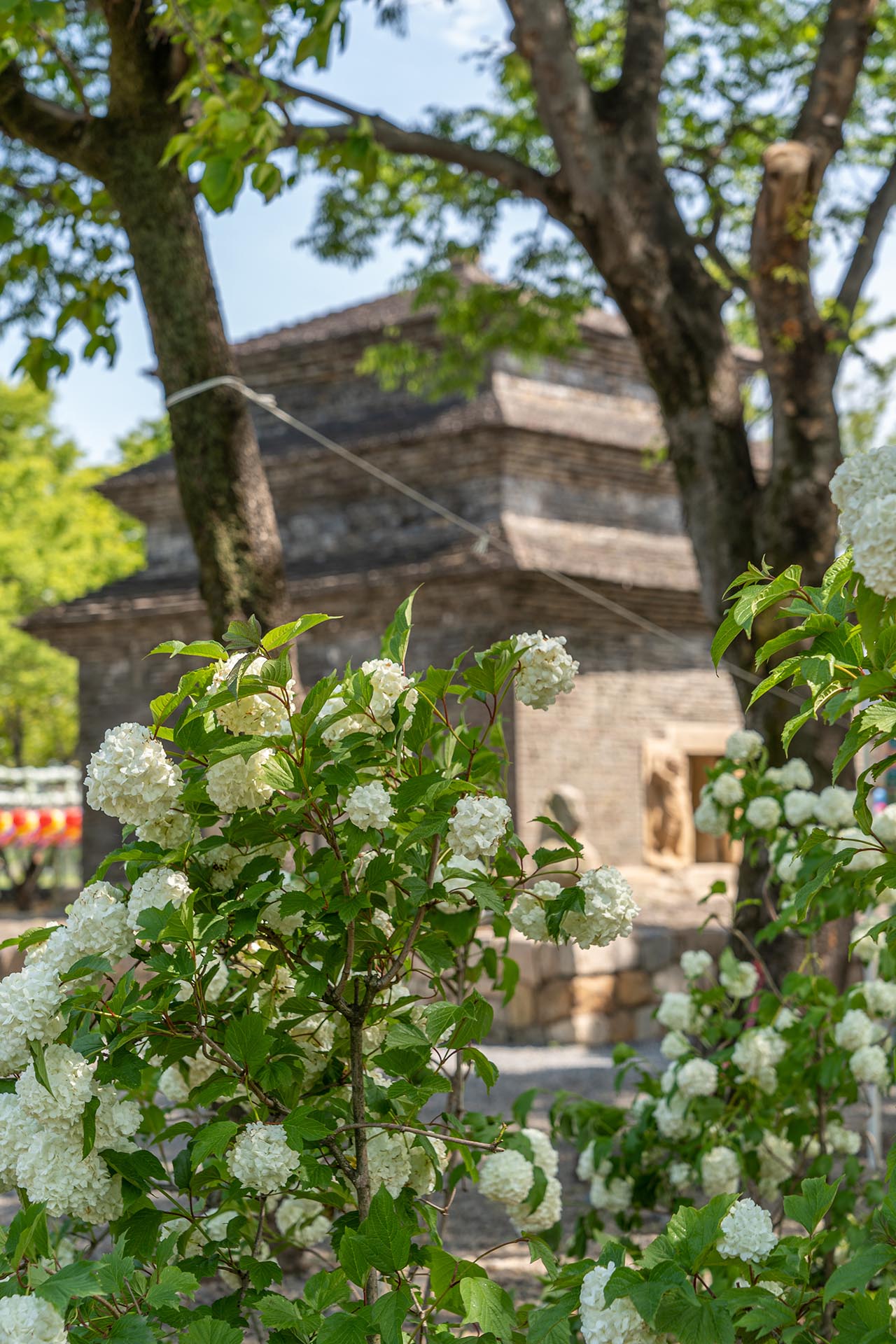 경주 분황사