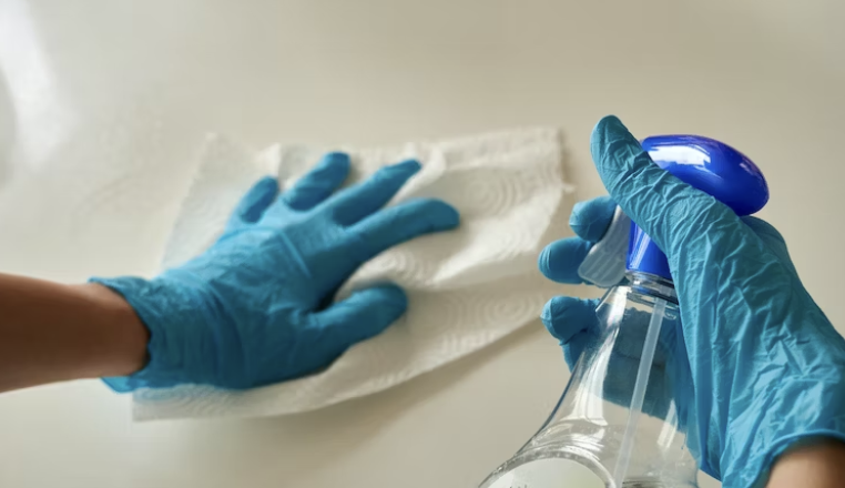 세스코 가정집 비용