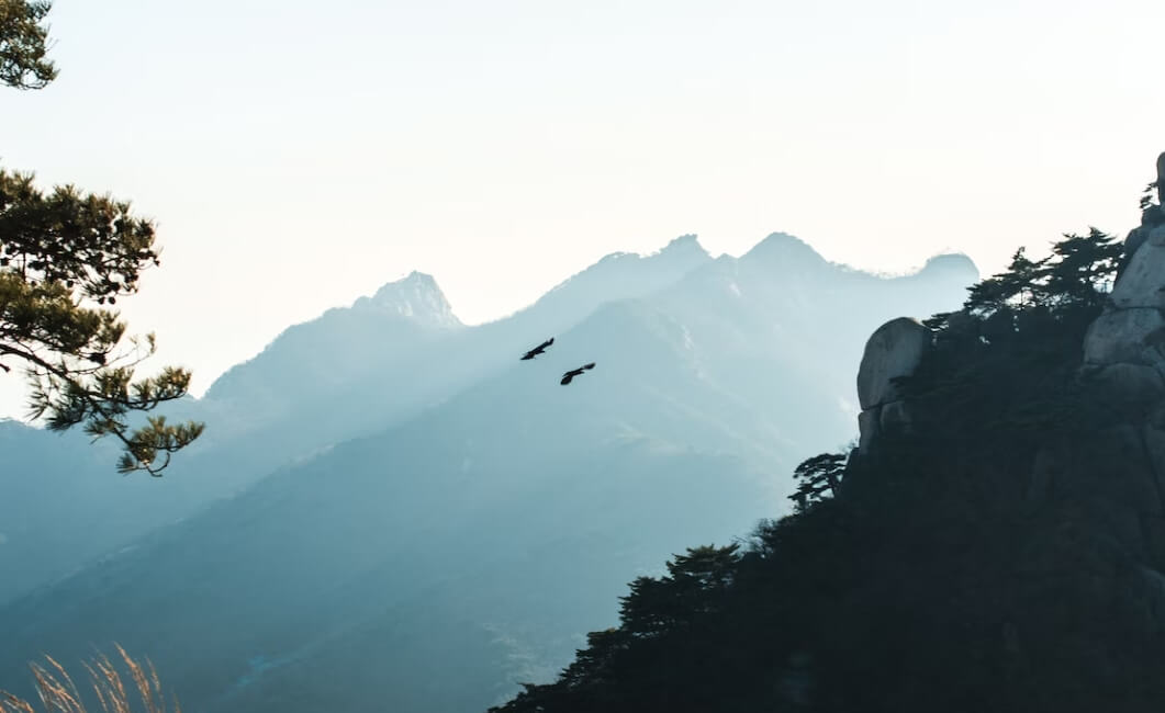 산이 있는 풍경