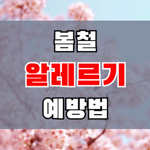 봄철 알레르기 원인과 예방법