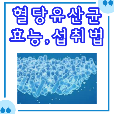 혈당유산균