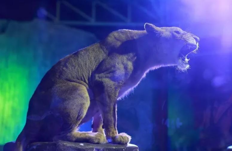 치앙마이 동물원