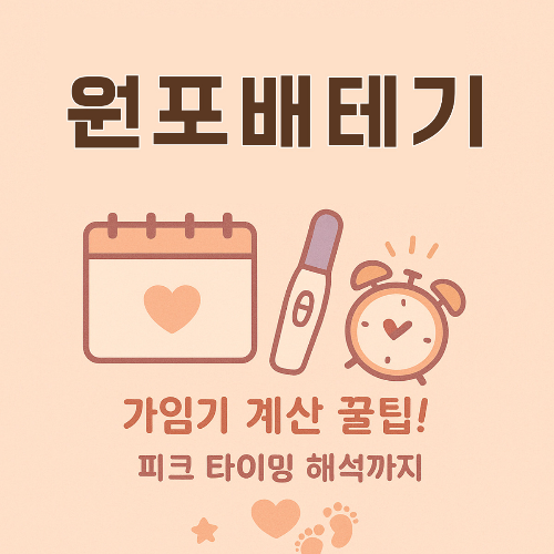 원포배테기 사용법에 대한 설명이 있는 사진