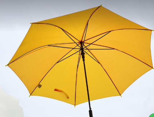 노란우산의 모습