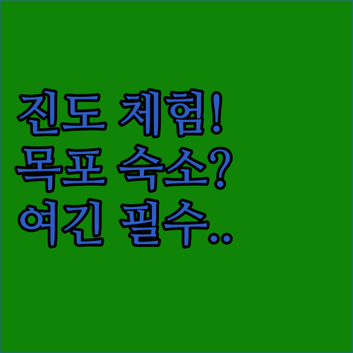 진도 남도 여행 코스 어업체험과 시설..