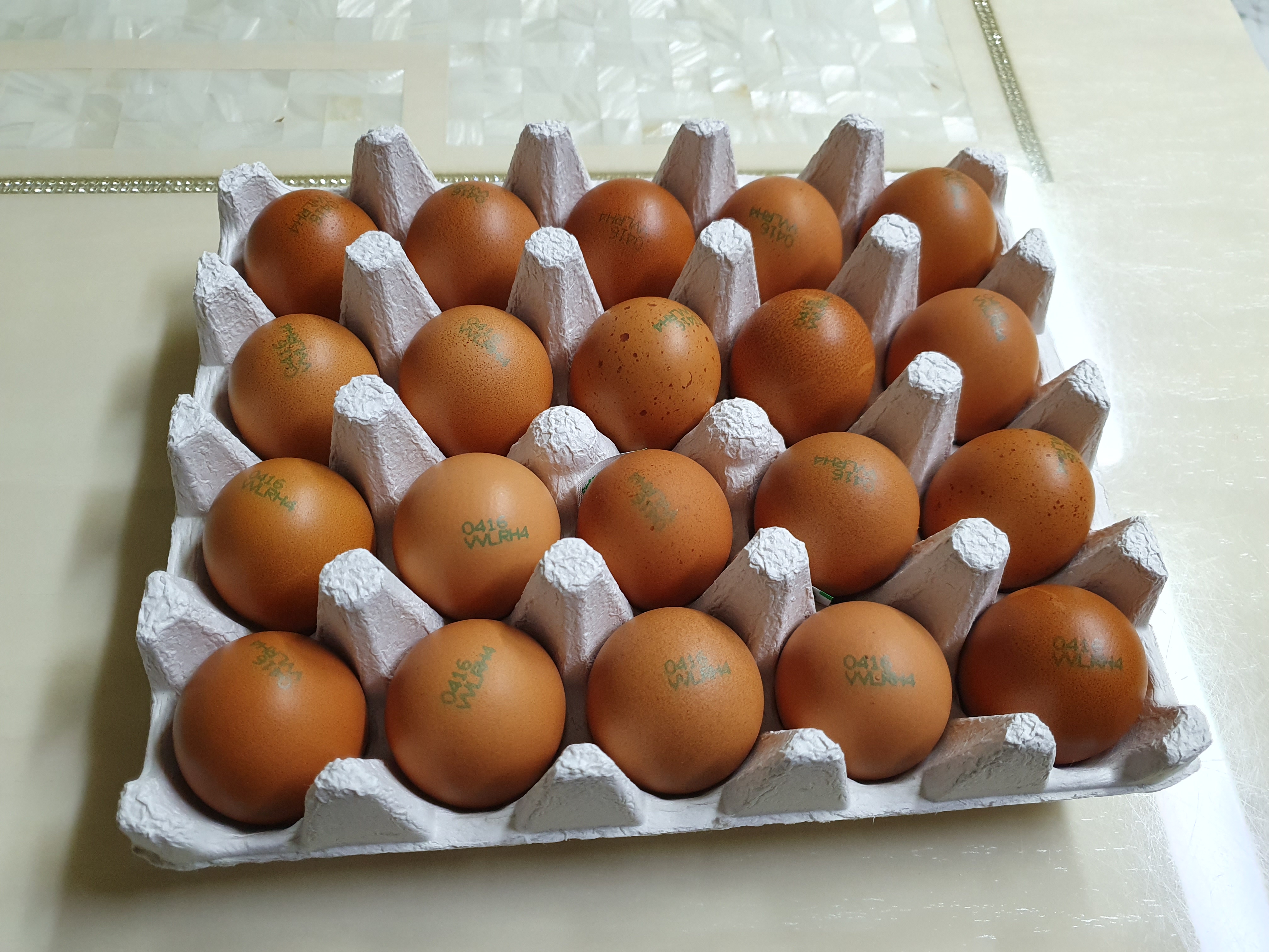 서대전 롯데마트에서 판매하는 구운계란 정직한 구운란 20개 들어가 있음.