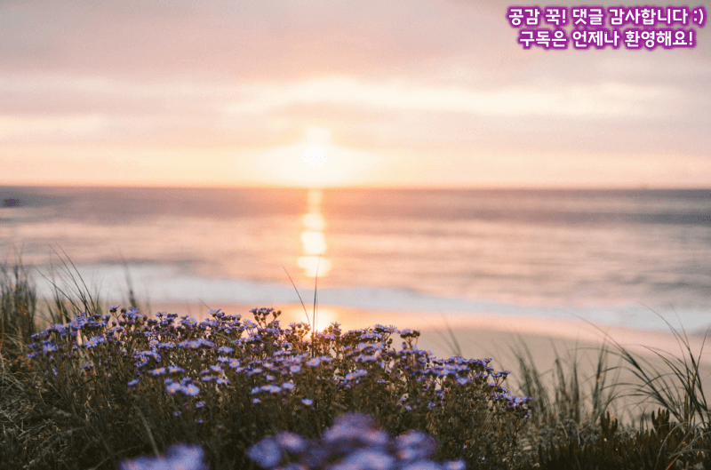 제로 웨이스트 여행