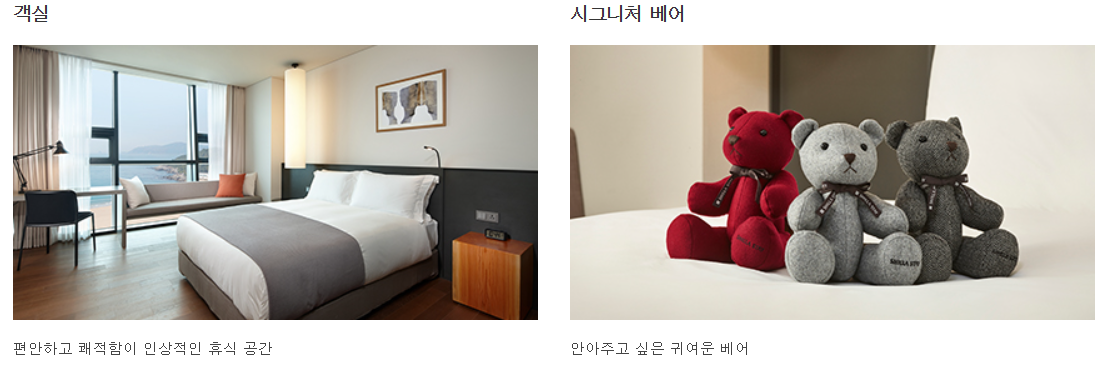 쾌적한 객실,귀여운 시그니처 베어 증정