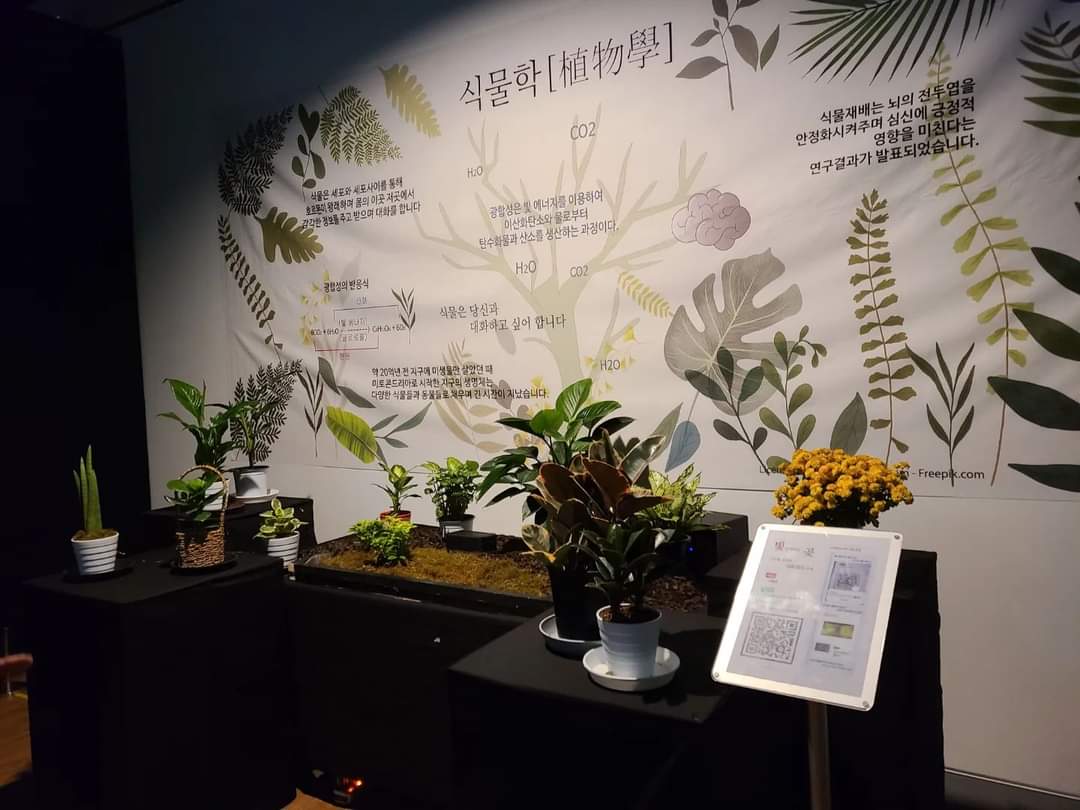 빛이머무는곶 - 식물학 植物學