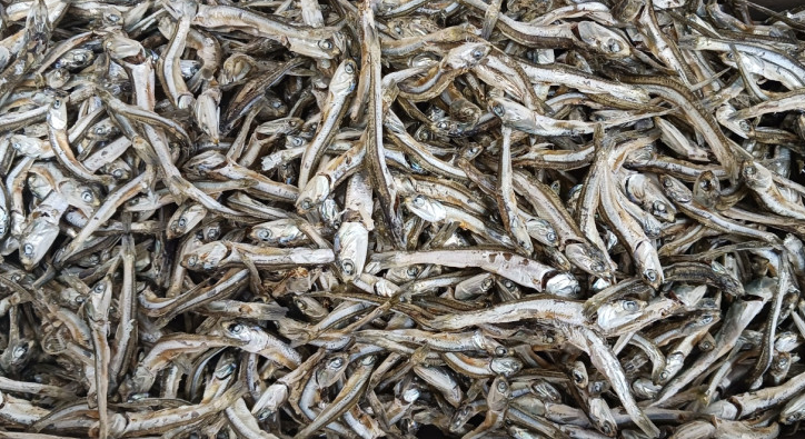 경남 사천 죽방렴 건멸치 주문 방법