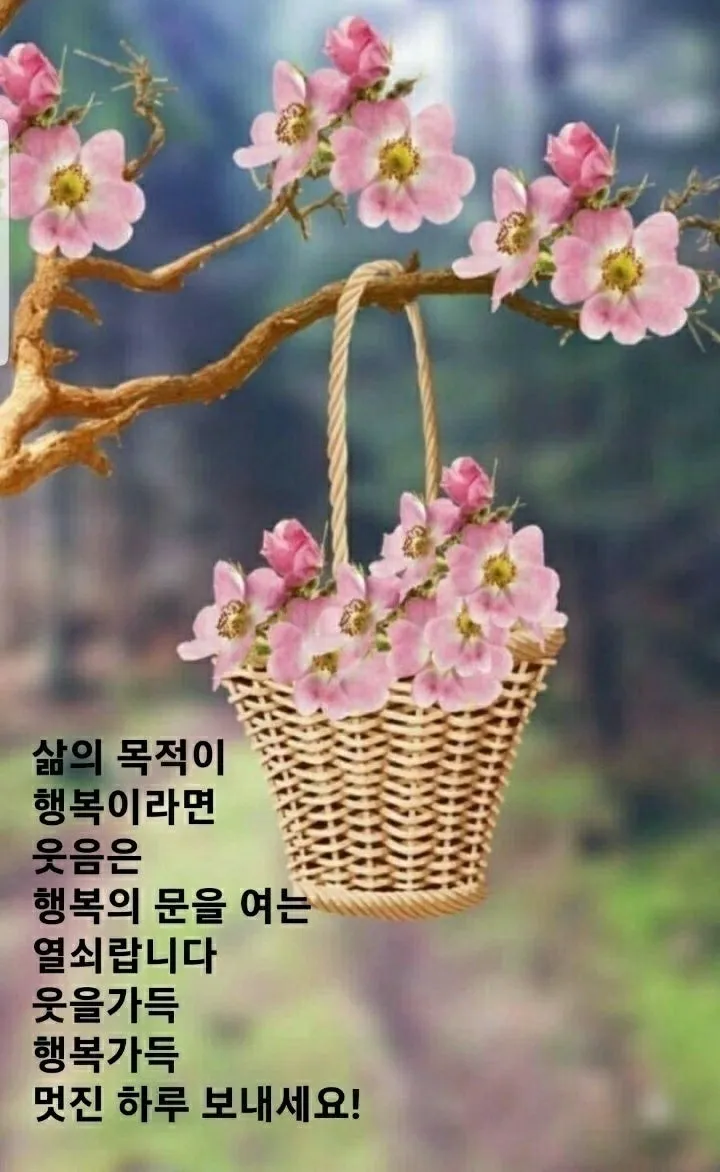 아침 인사 문자 날씨 변화에 맞춘 안부 문장 하루를 여는 표현_2
