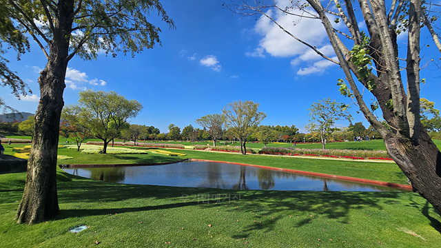 24년 순천만국가정원 동문 카페 음료가격 편의시설 식물원 동물원