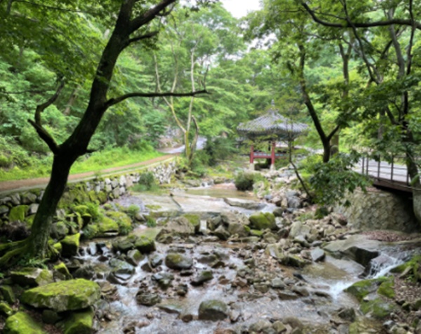 충남 가볼만한 곳 베스트10