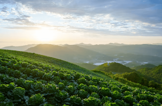 강원도 여행 4만원 돌려받는 법 선착순 꿀팁