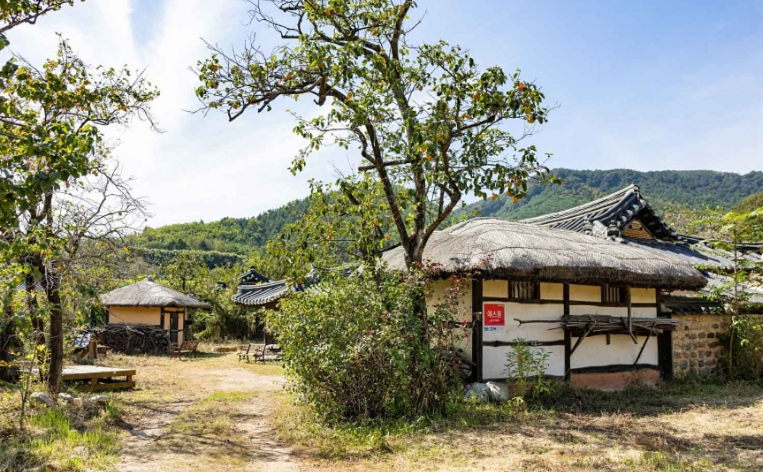고성 가볼만한곳 베스트10