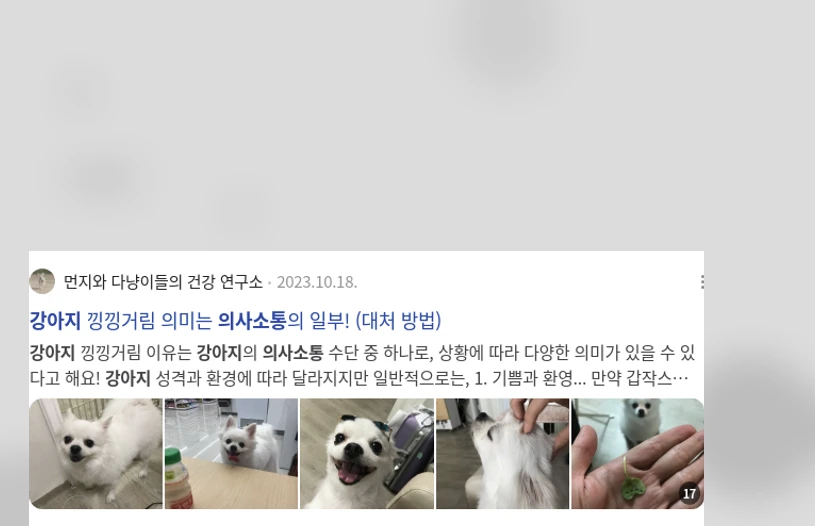 강아지 의사소통_1_subsection