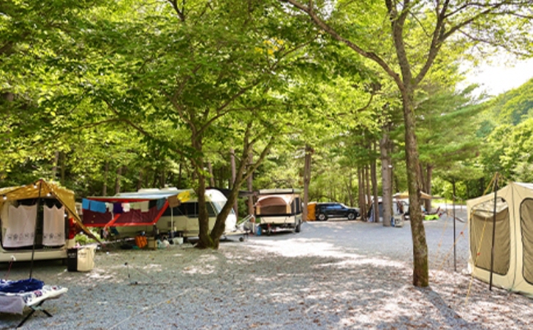 평창 가볼만한곳