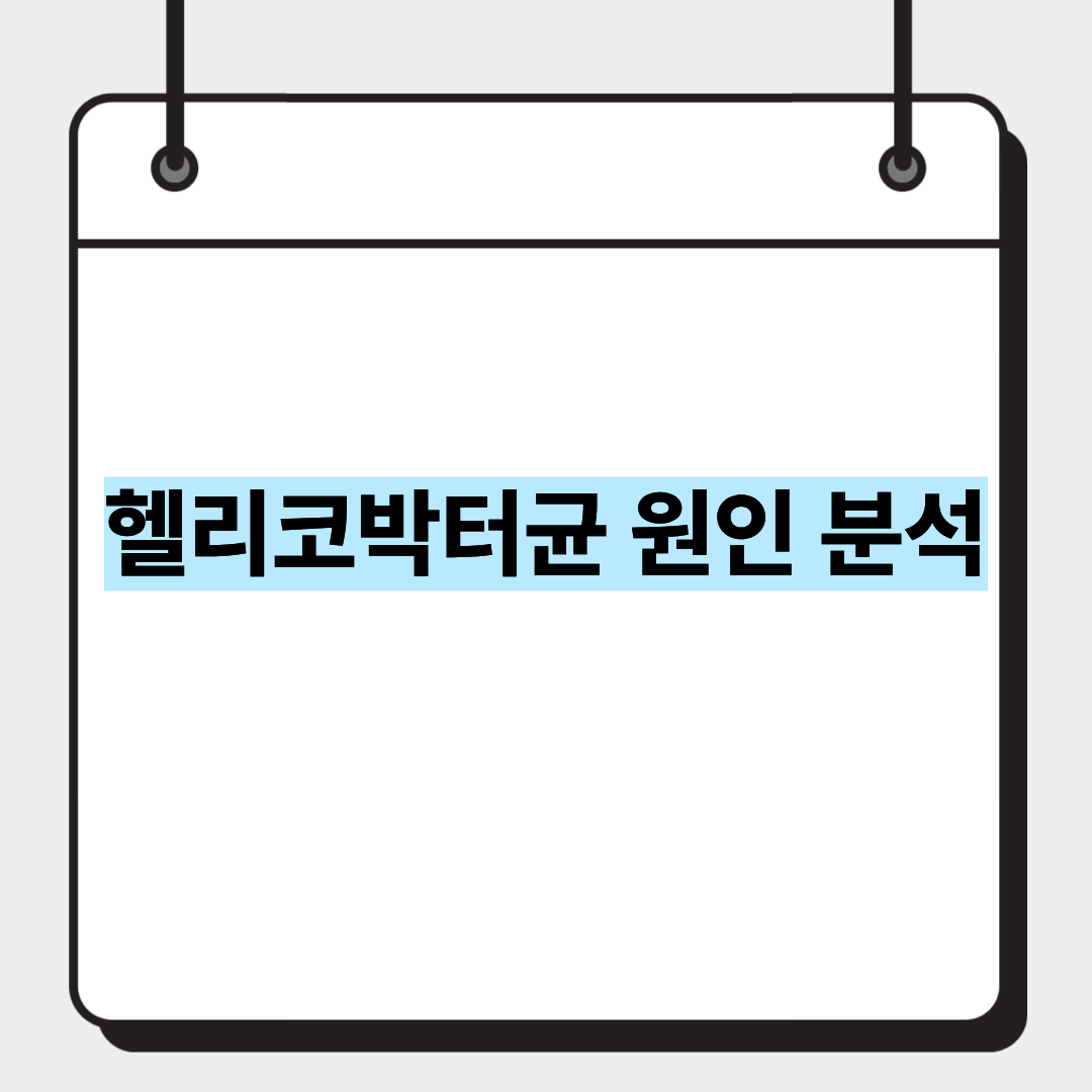 헬리코박터균 원인 분석 1