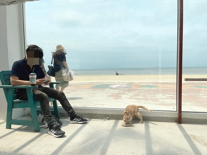 대부도-카페-허니비치