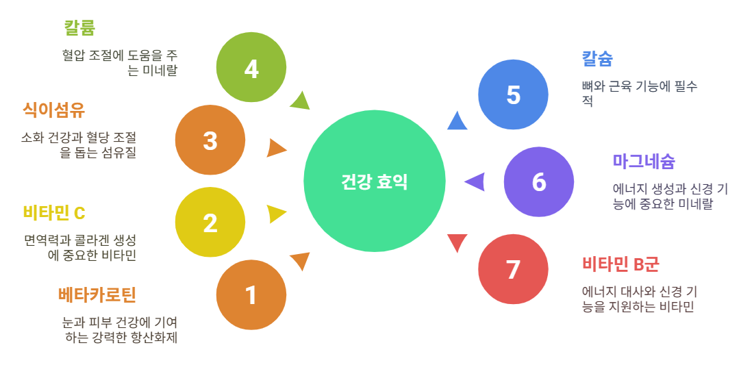 파파얌 고구마의 영양소