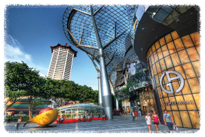 싱가포르 오차드 로드