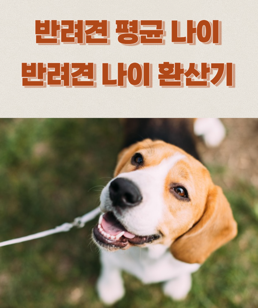애견 나이 계산기