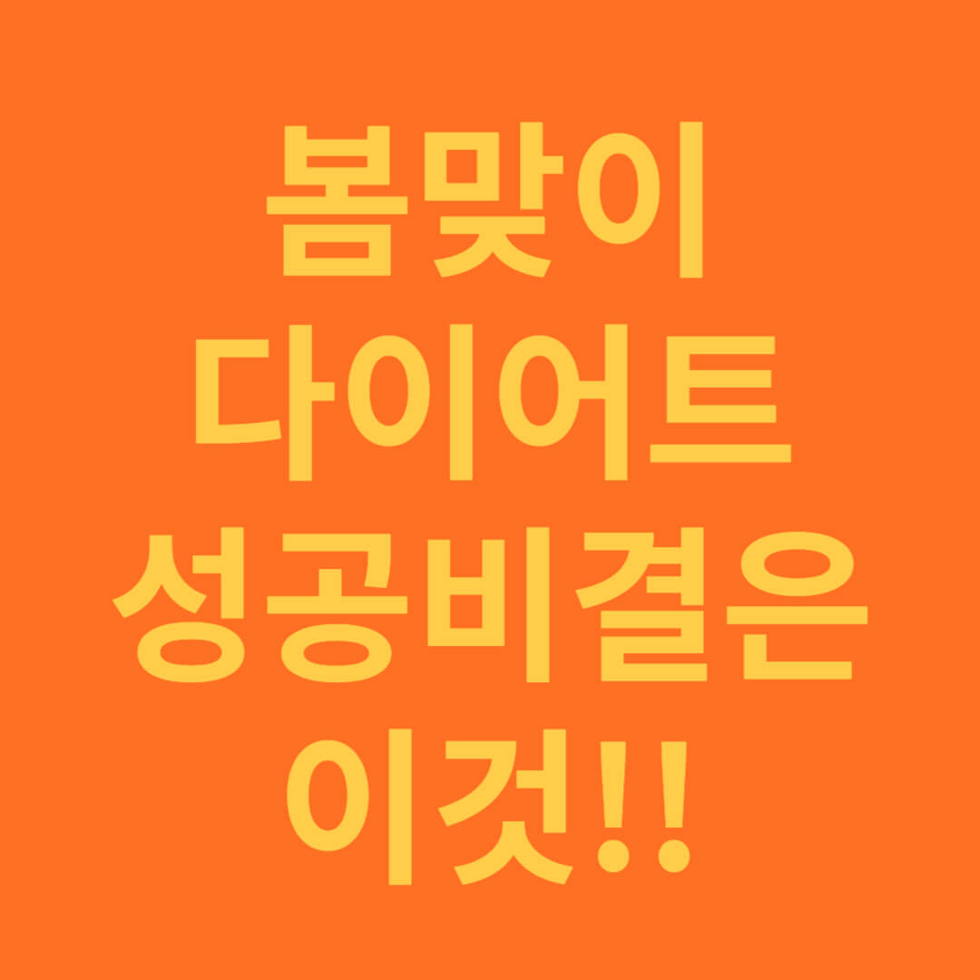 봄맞이 다이어트 성공 비결 효과적인 방법 총정리