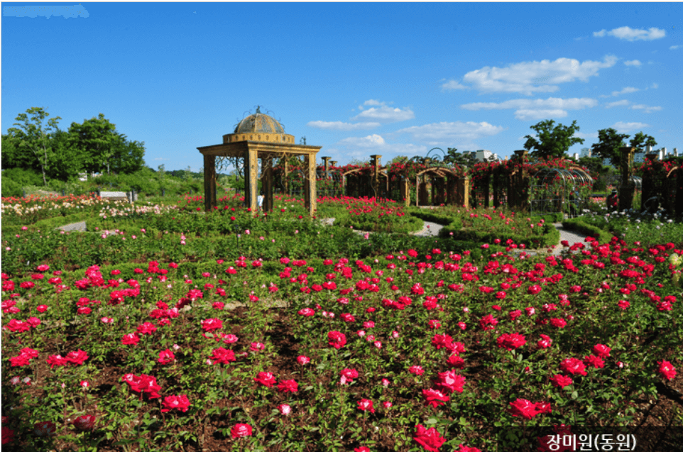 한밭 수목원 장미정원