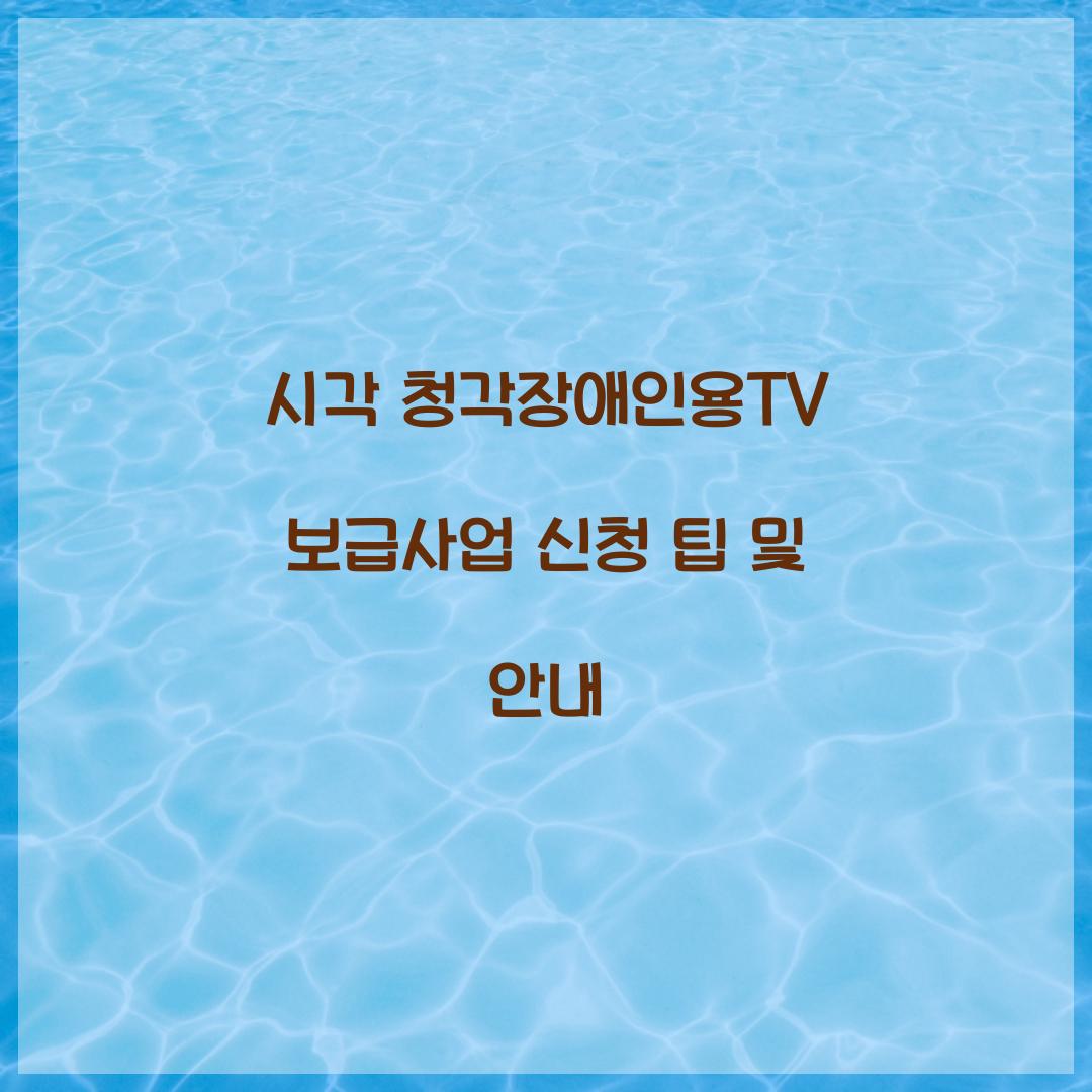 시각 청각장애인용TV 보급사업