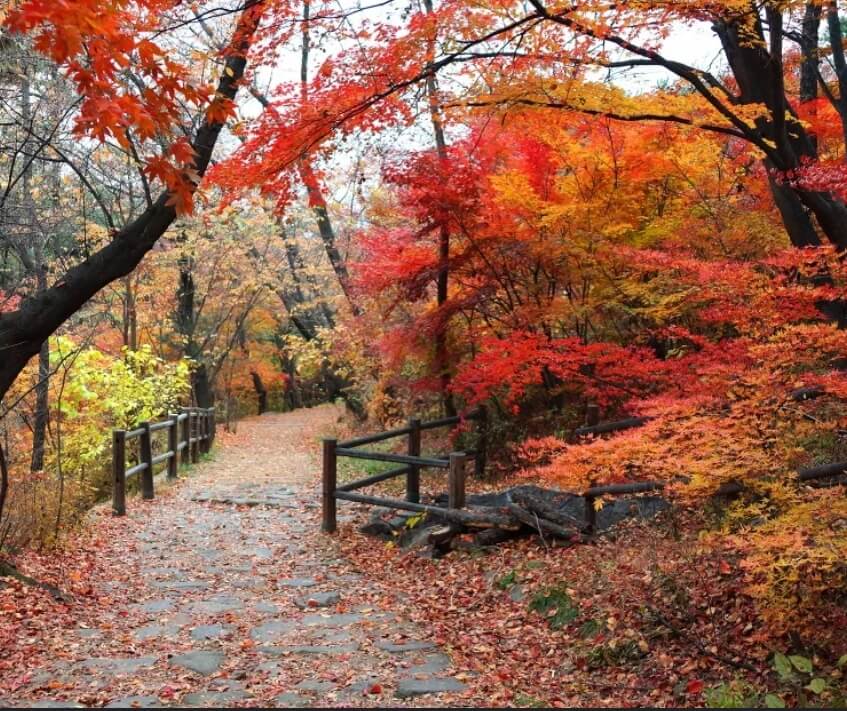 가을 단풍 명소 여행 추천