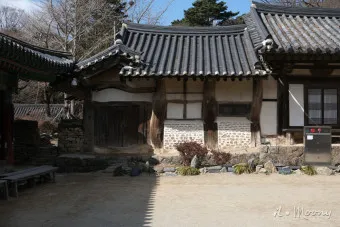 서산 개심사 청벚꽃 개화시기 명소_2