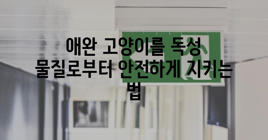애완 고양이를 독성 물질로부터 안전하게 지키는 법