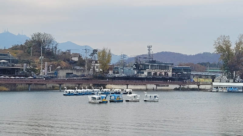 백운호수 주변 풍경 -산책 데이트 코스