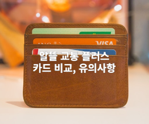 카드지갑 이미지