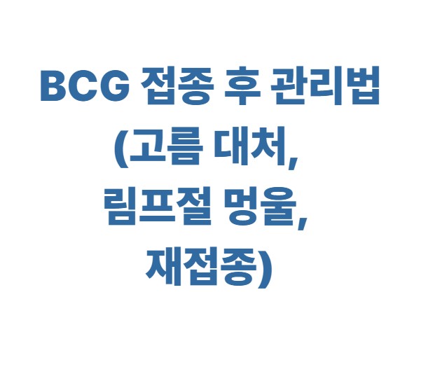 bcg 접종 후 관리법