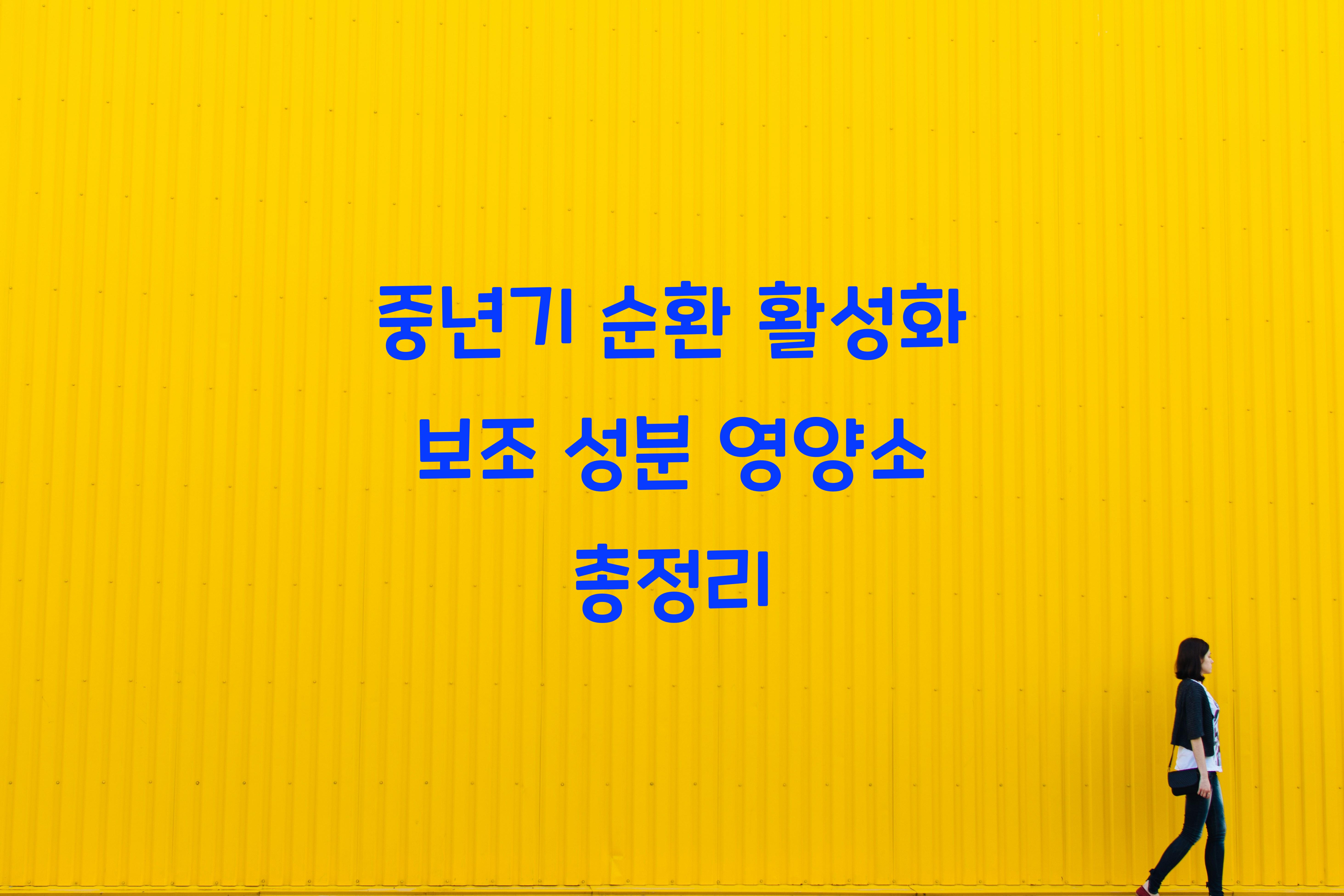 중년기 순환 활성화 보조 성분