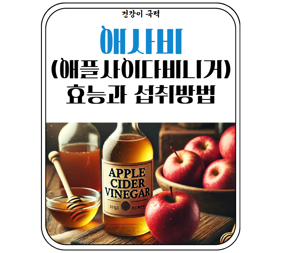 애사비
애플사이다비니거 효능