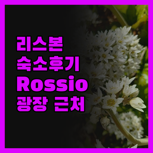 리스본 숙소, 솔직 후기! Rossi