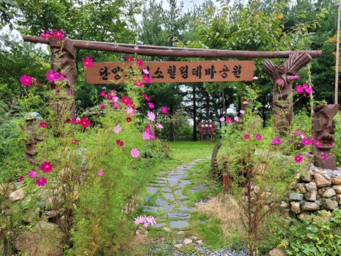 고속도로별 애견 놀이터 휴게소 총정리: 댕댕이와 함께하는 즐거운 휴식! 관련 사진