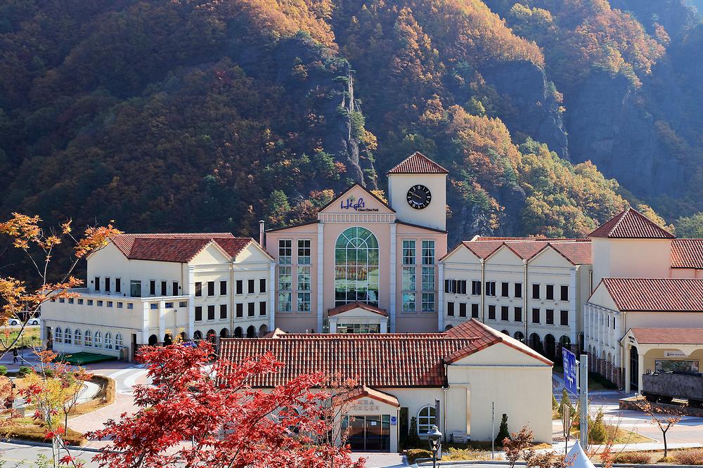 강원도 하이원추추파크 자동차야영장 소개