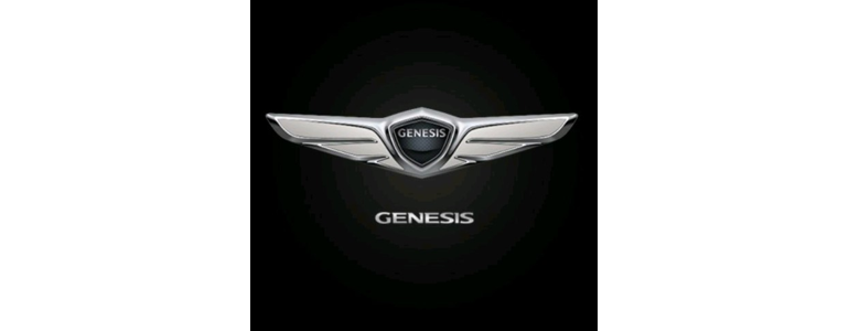 원주시 블루핸즈