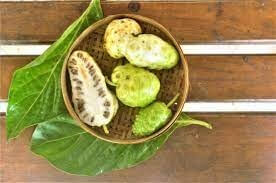 노니 효능 부작용 분말 복용법 44