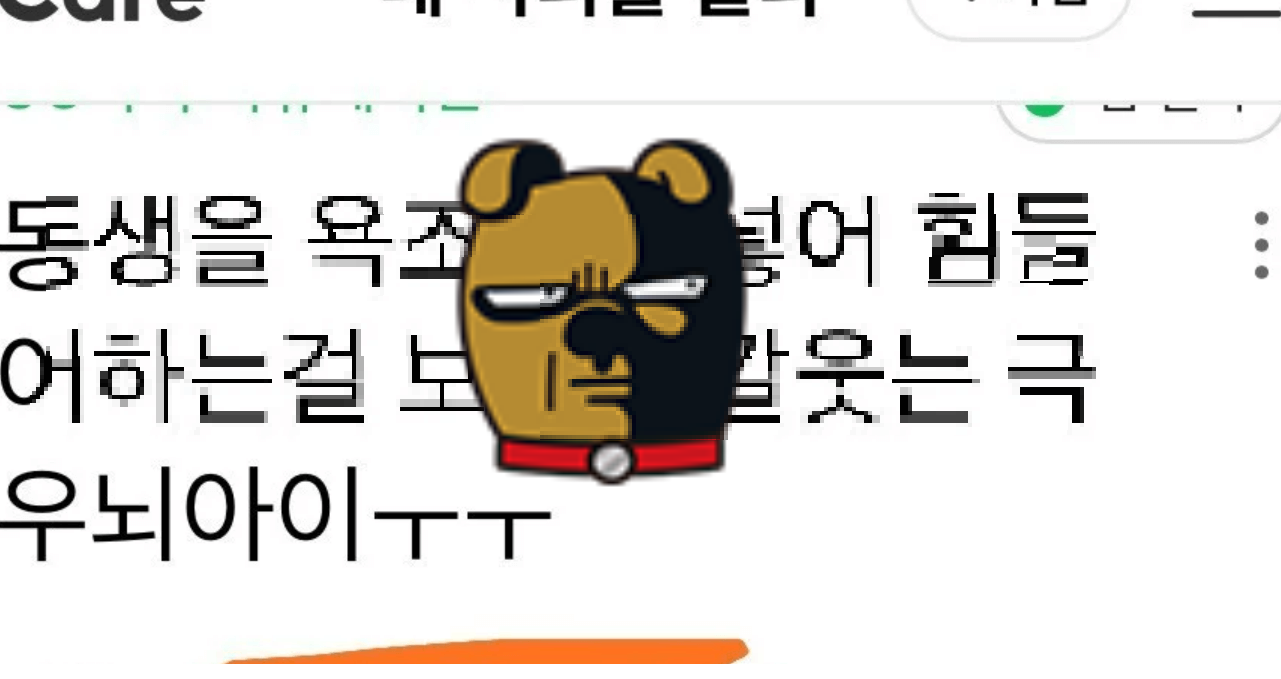 극우뇌 카페 내용