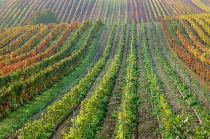 진안군 전입 혜택 총정리: 지방 소도시 혜택