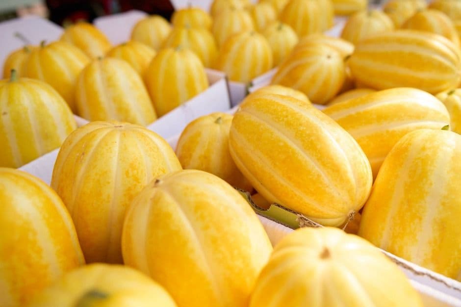 [6월 축제]2025 여주 금사참외축제❘공연 일정, 참여 프로그램 정리