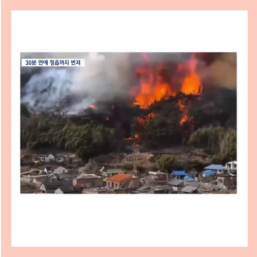 산불 피해 보상금 신청방법