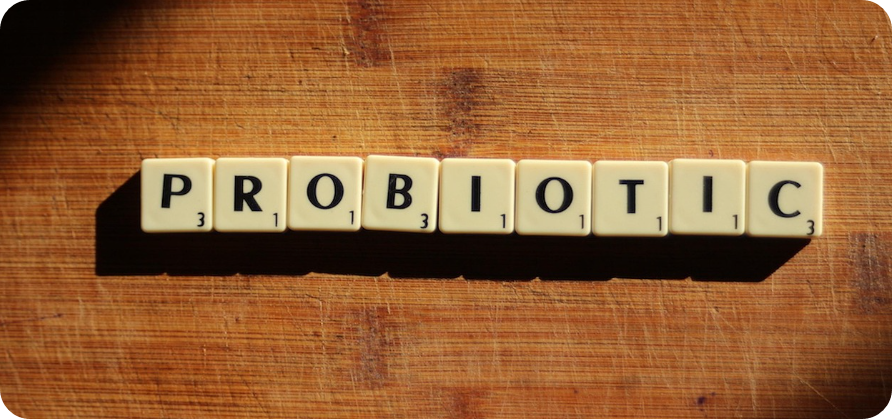 프로바이오틱 사진