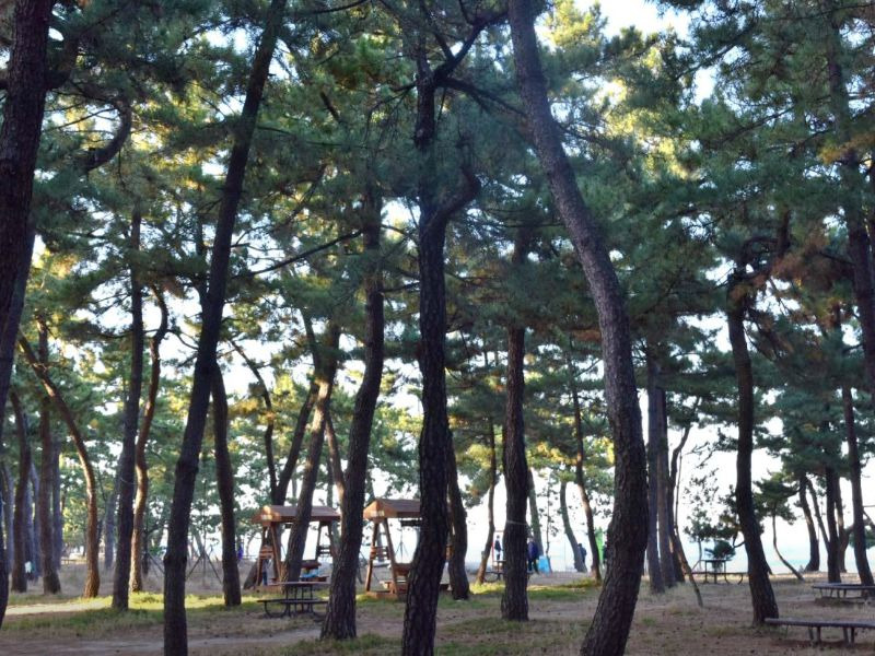 경포해변
