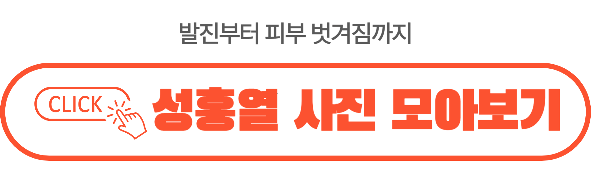 성홍열 사진보기