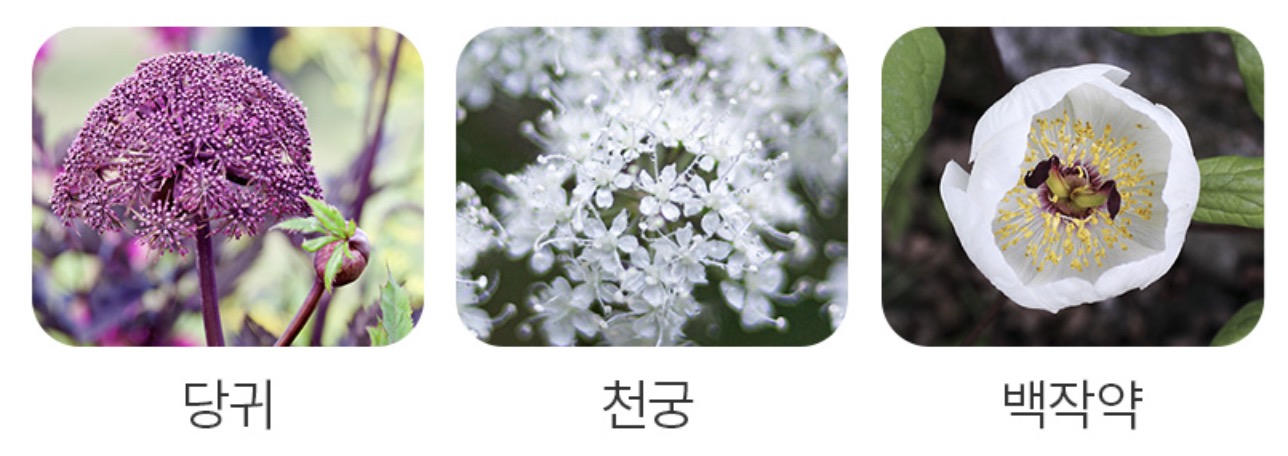 애터미-헤모힘-효능